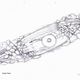 Illustration for article titled Archaeologists Unearth Intact Viking Burial Site, Swords and All